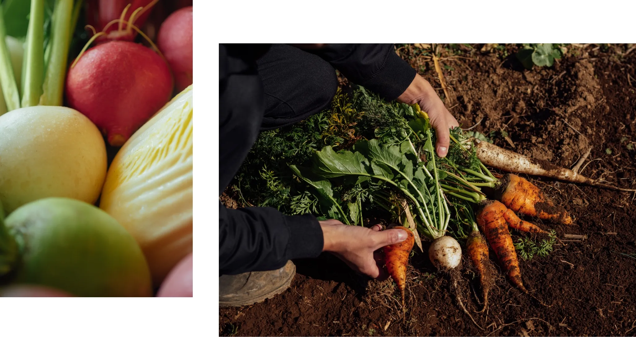 He tries to produce and consume locally as much as possible, focusing on vegetables from his own fields. He cultivates his fields on lava-rich soil.