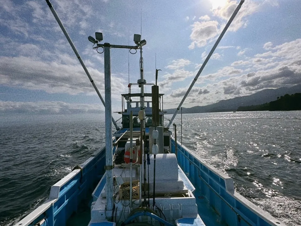 Fishing experience with the cooperation of Suruga Bay fishermen