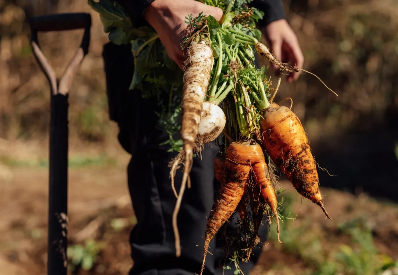 Chef grows seasonal vegetables without pesticides in his own garden